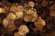 old gold  coins
